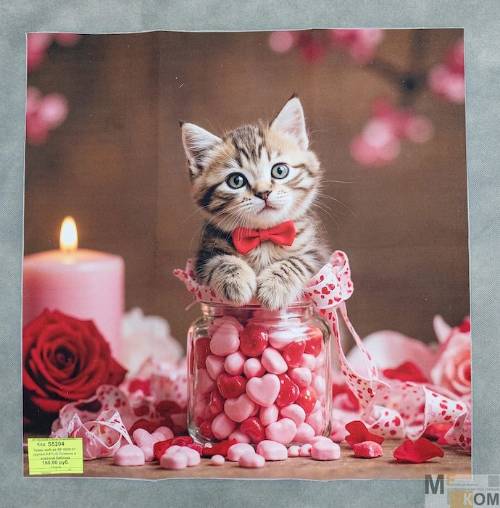 Изображение WhatsApp 2025-02-14 в 09.39.41_e8f92e7c